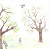 Klara Šergon, 7.r., OŠ Lesično, risba na naslovni strani knjižice (zgodba o pticah v visokodebelnih sadovnjakih)