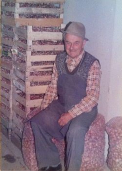 Anton Ulčnik s pridelkom raške č'bule. Nekoč mu je uspelo vzgojiti celo 50 ton te cenjene sorte.