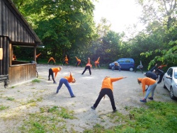 Oranževci in 1000 gibov: Regijski posvet in srečanje s skupinami v Ivančni Gorici