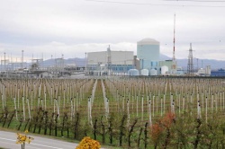 Zaradi verjetne gradnje drugega bloka Nuklearne elektrarne Krško bodo v občini narasle cene nepremičnin. (Foto: STA)