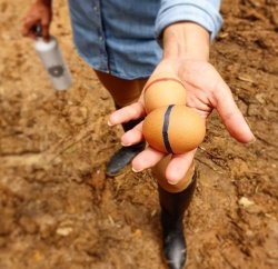 Za X. KMETIJO bodo potrebna jajca! (Natalija Batkovič, Instagram)