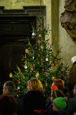 Kočevarji peli v Ljubljani in postavili posebno božično drevo