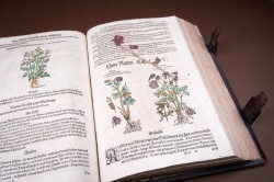 Mattiolijeva knjiga o zdravilnih zeliščih iz začetka 17. stoletja