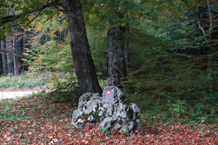 Legendarni mejnik Krvavi kamen (Foto: Andrej Hudoklin)