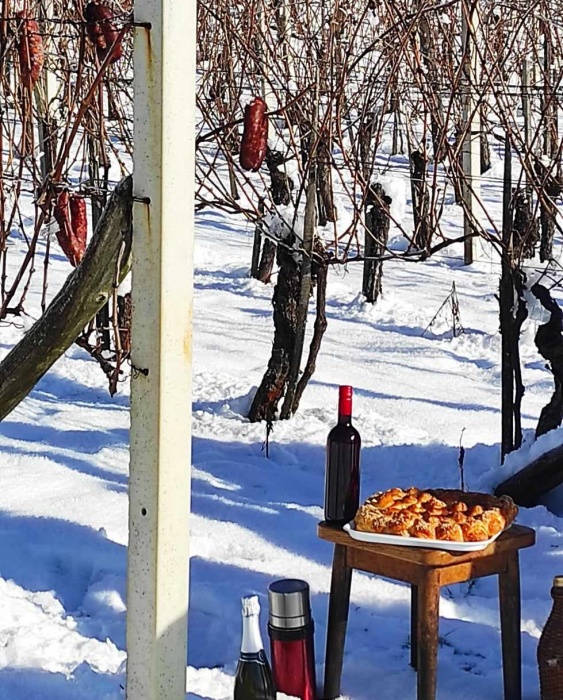 FOTO: Prva rez v vinogradu; klobase skuhali v vinu