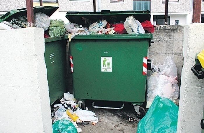 Živalski kadavri nikakor ne sodijo v noben zabojnik za zbiranje komunalnih odpadkov. (Foto: arhiv Lokalno.si)