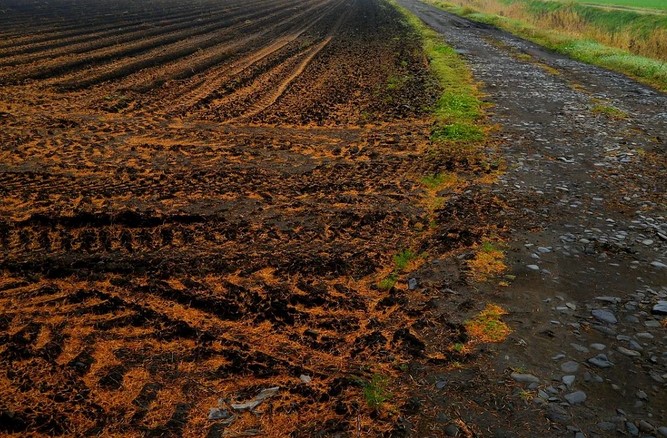 Da ne boste plačali zaradi blata - očistite traktor