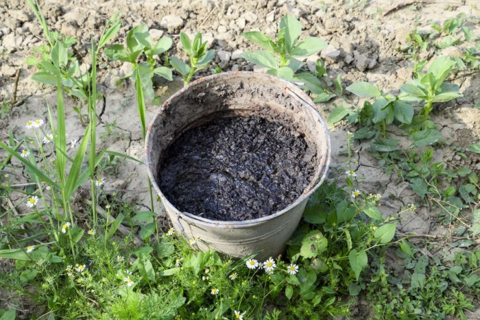 Gnojenje tal je natančno opravilo, pretirano lahko naredi veliko več škode kot koristi. (Foto: Dreamstime)